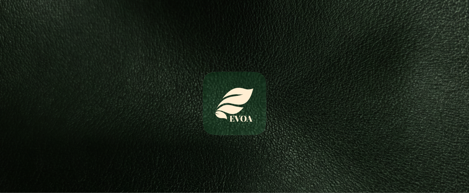 about Evoa.Life